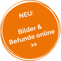 Onlinebefunde und Bilder